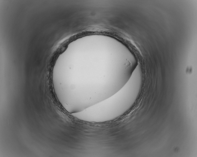 X0000096971304200802291112