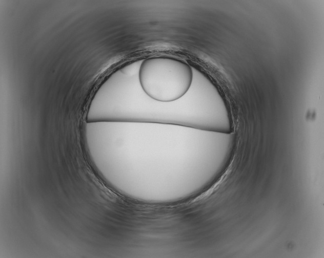 X0000096971305200802291112