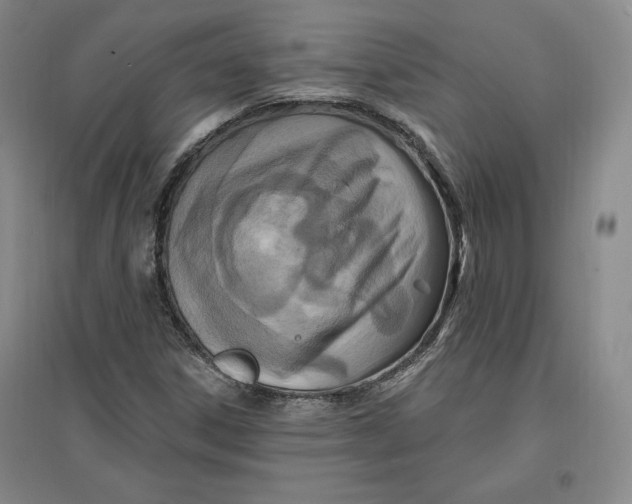 X0000096971306200802291112