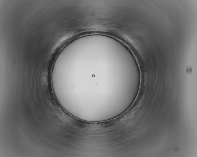 X0000096971307200802291112