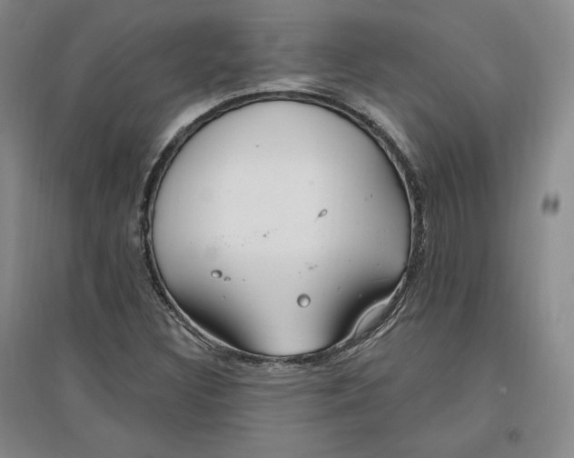 X0000096971308200802291112