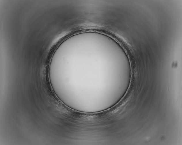 X0000096971309200802291112