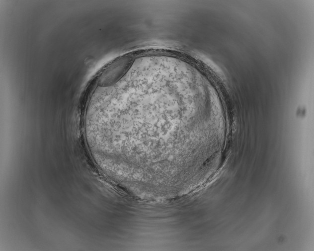 X0000096971310200802291112