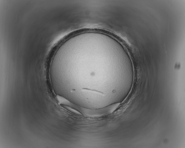 X0000096971311200802291112