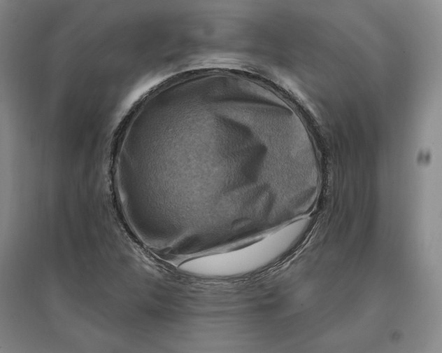 X0000096971312200802291112