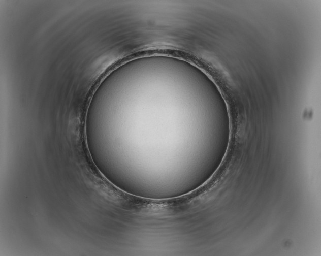 X0000096971313200802291112