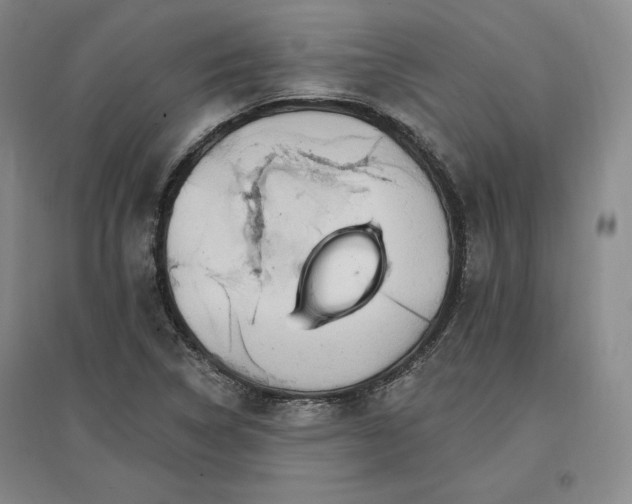 X0000096971314200802291112