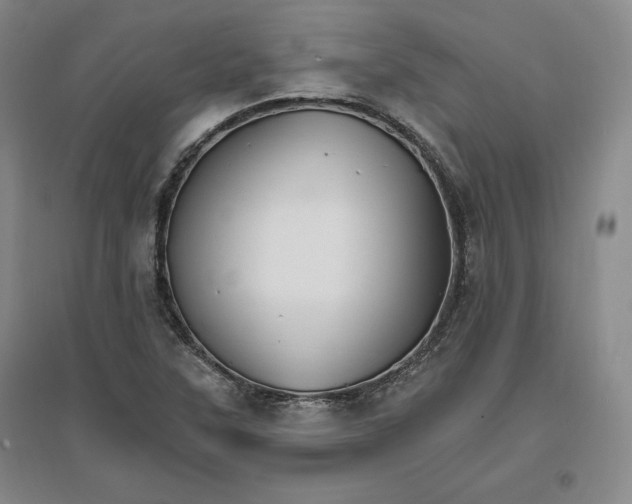 X0000096971315200802291112