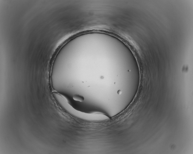 X0000096971316200802291112