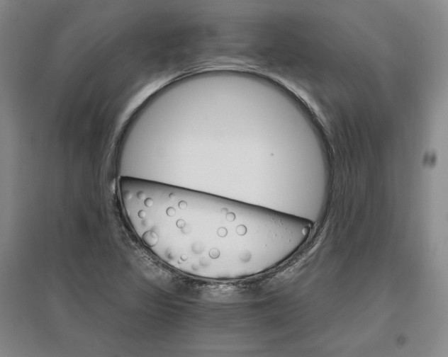 X0000096971317200802291112