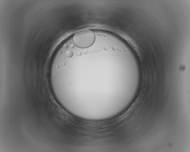 X0000096971318200802291112