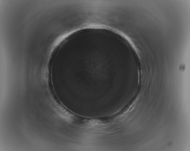 X0000096971319200802291112