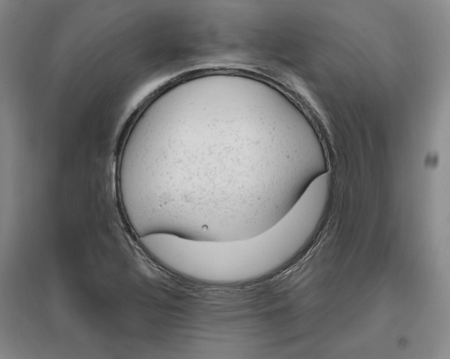 X0000096971320200802291112