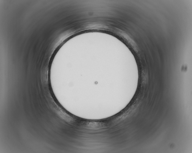 X0000096971322200802291112