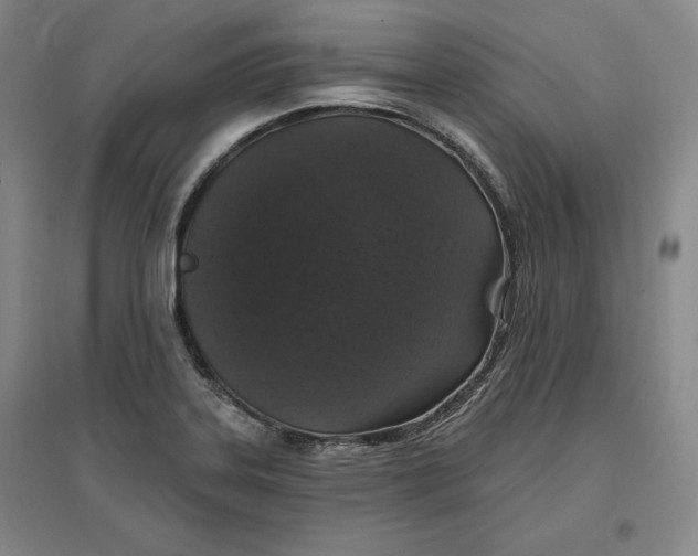 X0000096971323200802291112