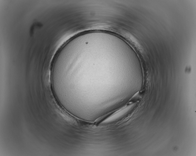 X0000096971324200802291112