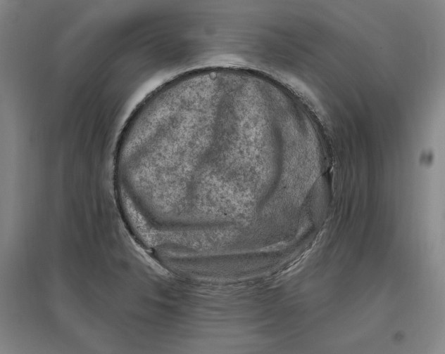 X0000096971326200802291112