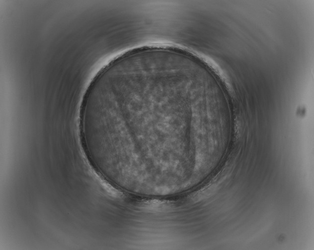 X0000096971327200802291112