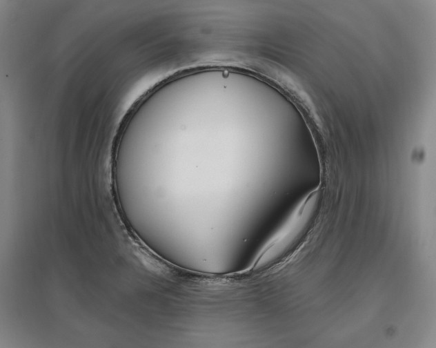 X0000096971328200802291112