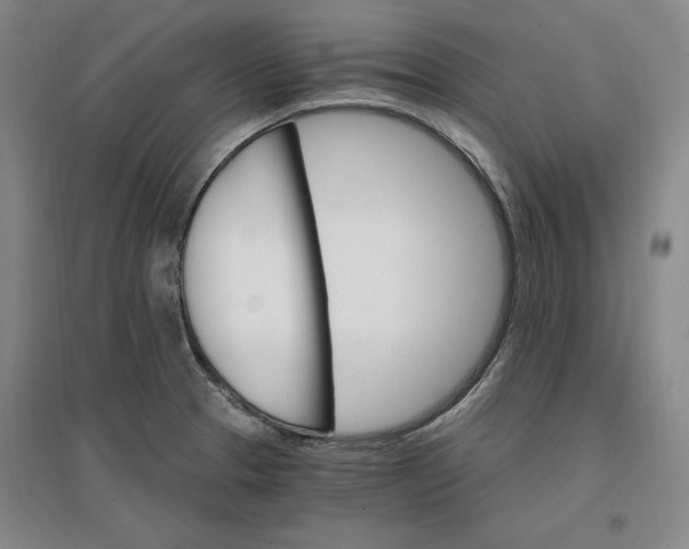 X0000096971329200802291112