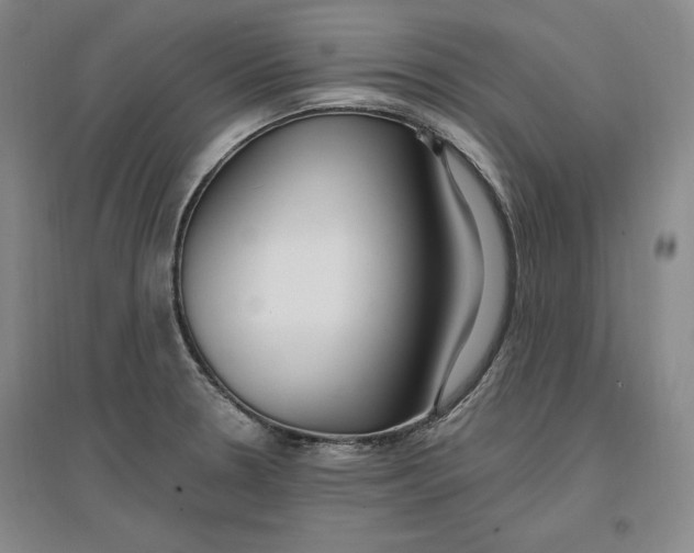 X0000096971330200802291112