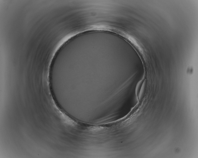 X0000096971331200802291112