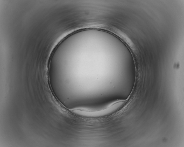 X0000096971332200802291112