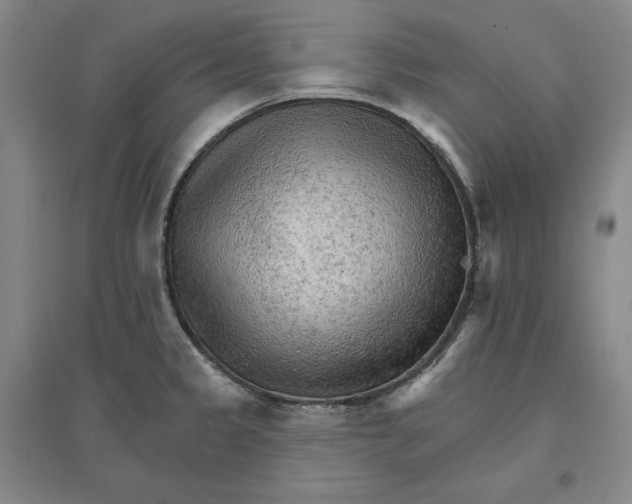 X0000096971333200802291112