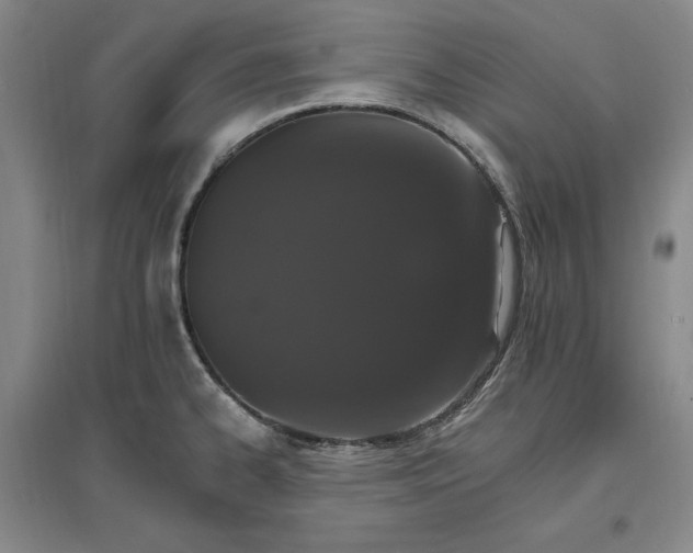 X0000096971334200802291112