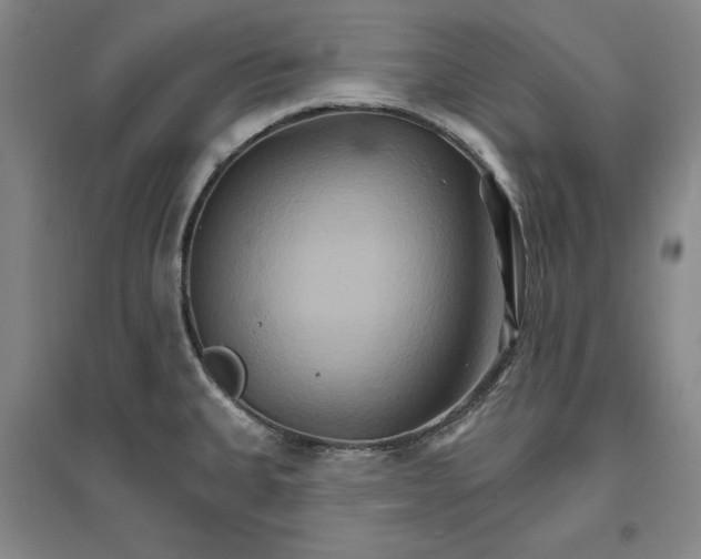 X0000096971335200802291112