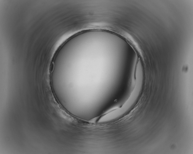 X0000096971336200802291112