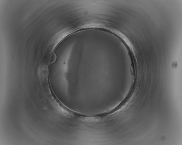 X0000096971337200802291112