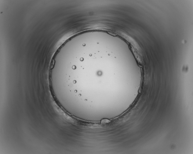 X0000096971338200802291112