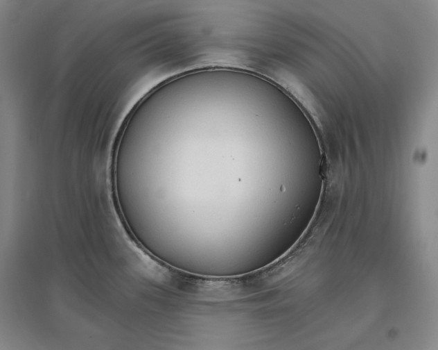 X0000096971339200802291112