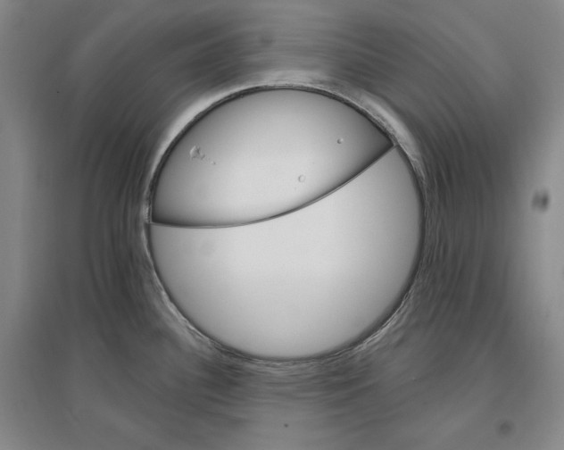 X0000096971340200802291112