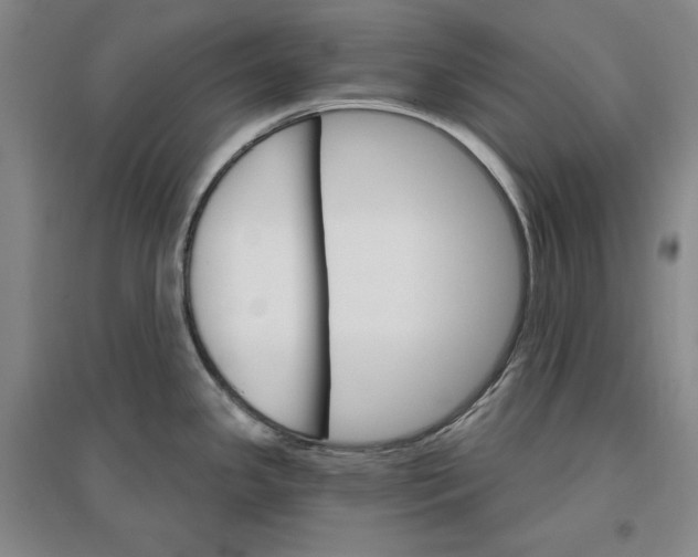 X0000096971341200802291112