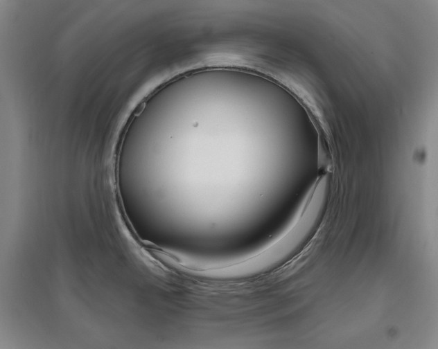 X0000096971342200802291112