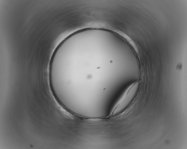 X0000096971343200802291112