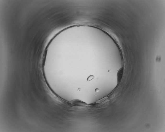 X0000096971344200802291112