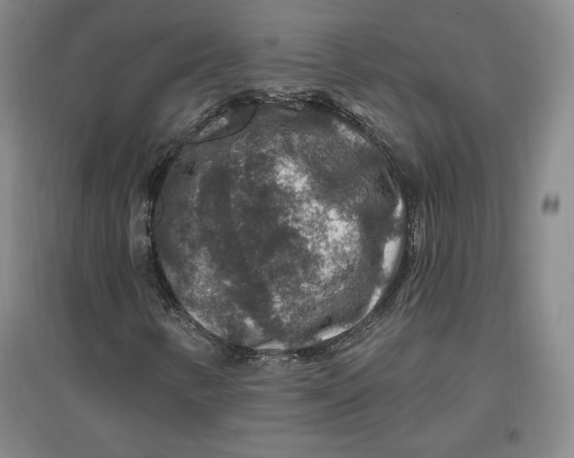 X0000096971346200802291112