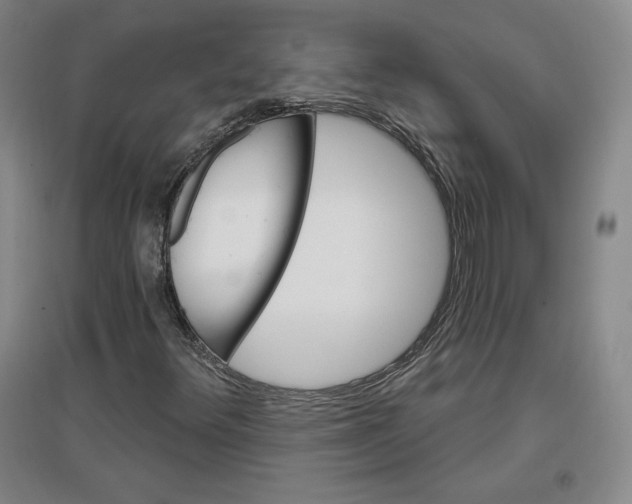 X0000096971348200802291112