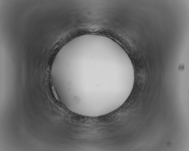 X0000096971349200802291111