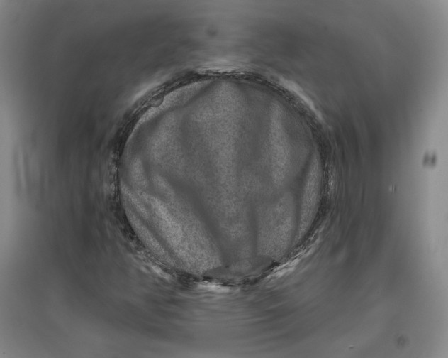 X0000096971350200802291111