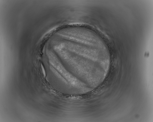 X0000096971351200802291111