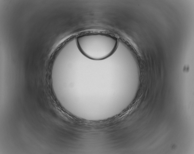 X0000096971352200802291111