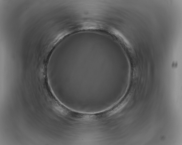 X0000096971353200802291111