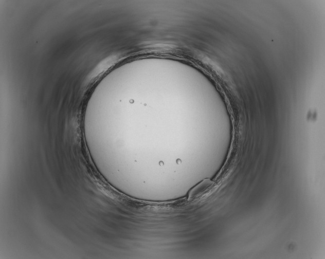 X0000096971354200802291111