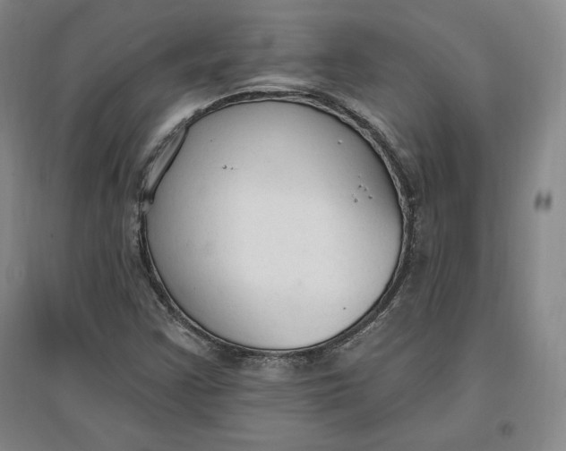 X0000096971355200802291111