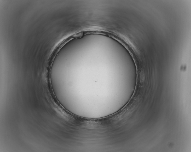 X0000096971356200802291111