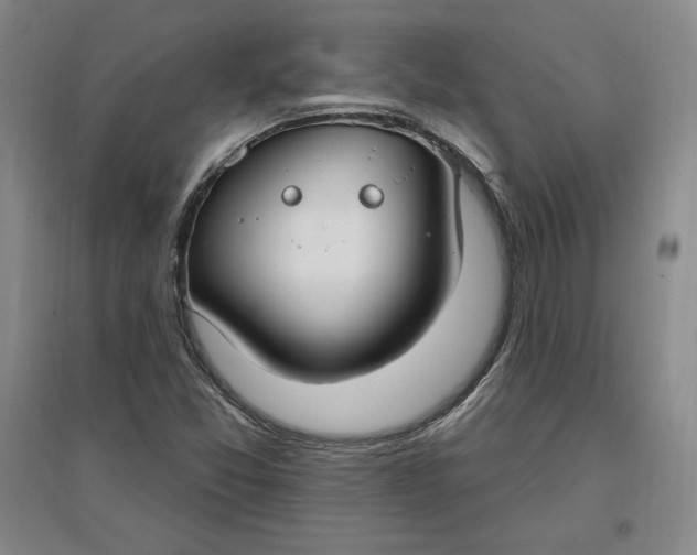 X0000096971357200802291111